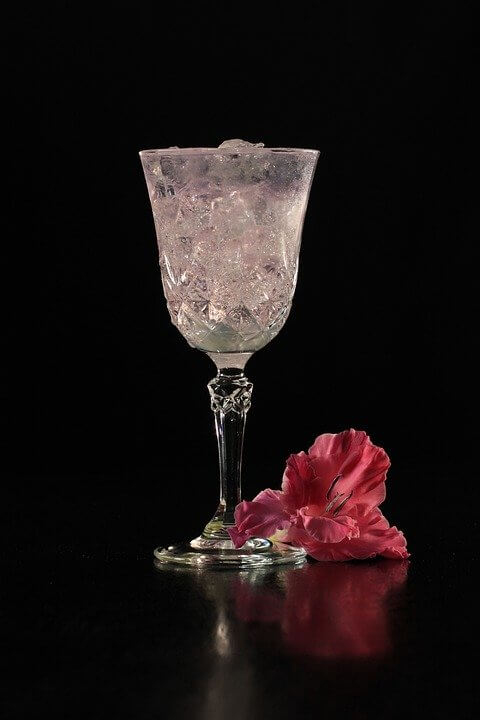 Gintonic copa con ginebra rosa