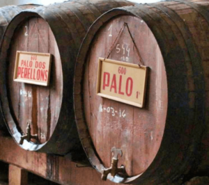 Barricas antiguas de licor de Palo de Mallorca