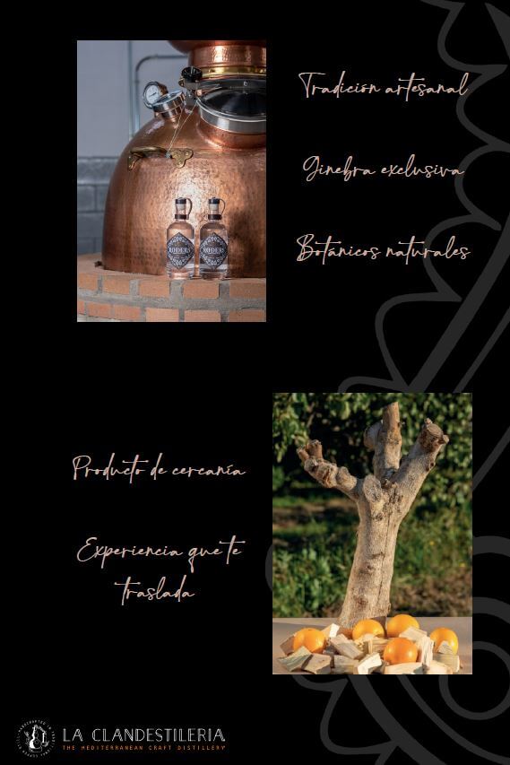 Información Gin Roders Experience